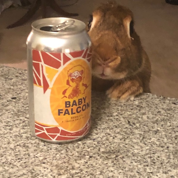 Meet your Posher, Elizabeth - Picture 4 of 16